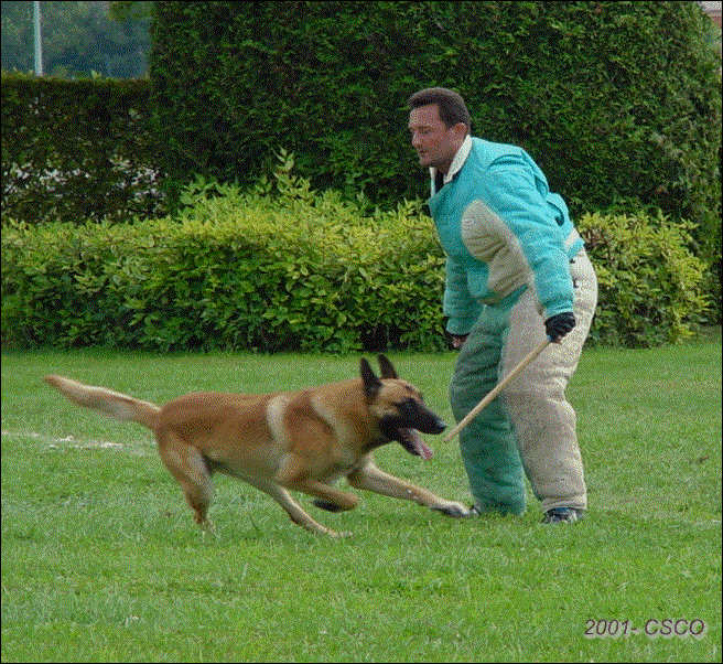 2001-004.gif