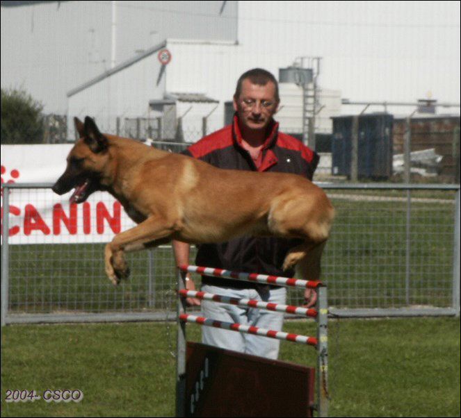 2004-ring-oyo-R1-tempo-haie.jpg